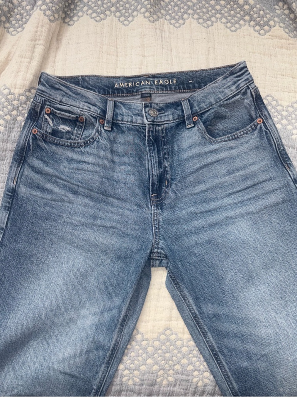 American Eagle Strigid Low Rise Baggy Straight Jeans